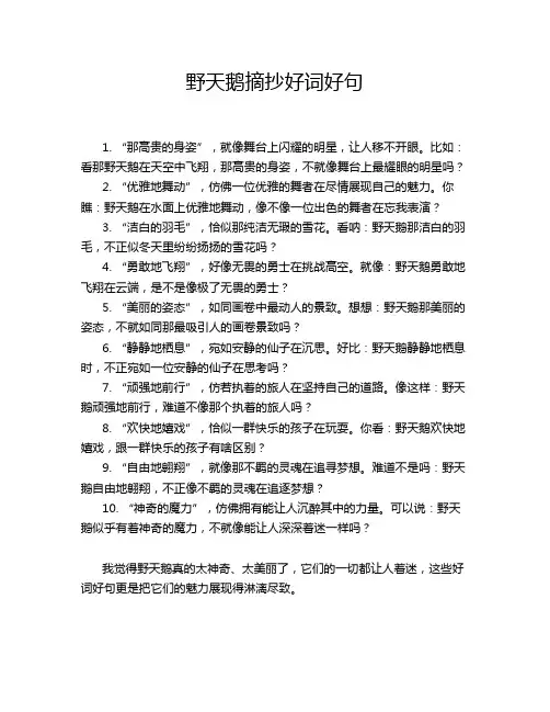 野天鹅摘抄好词好句