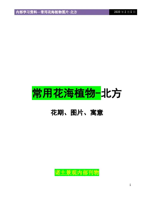 常用花海植物图片-北方