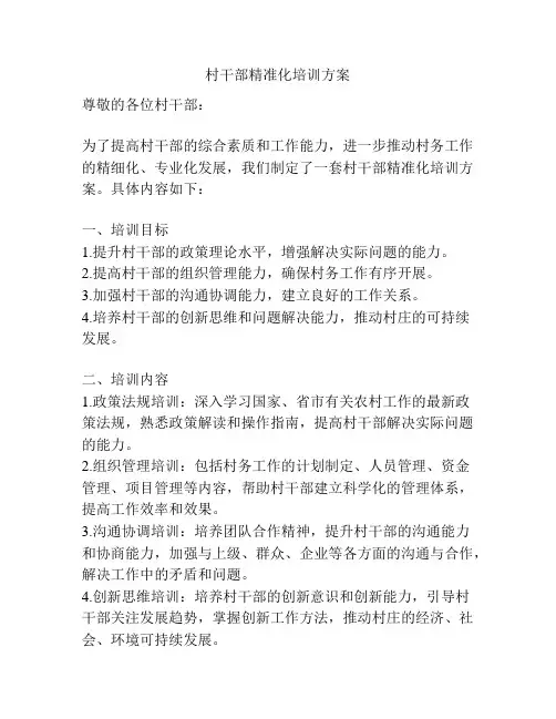村干部精准化培训方案