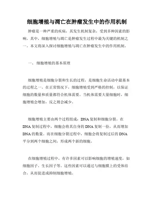 细胞增殖与凋亡在肿瘤发生中的作用机制