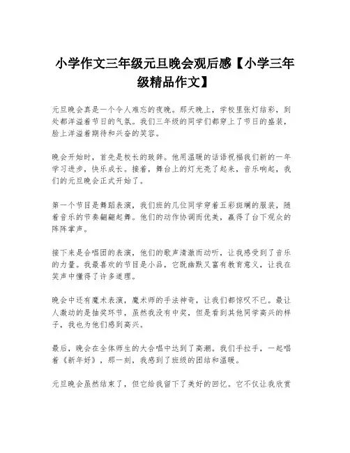 小学作文三年级元旦晚会观后感【小学三年级精品作文】