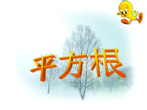 人教版七年级数学下册第六章《平方根 》优质课课件3
