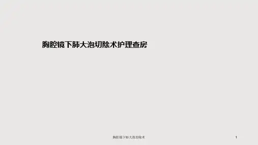胸腔镜下肺大泡切除术ppt课件