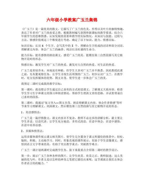 六年级小学教案广玉兰集锦