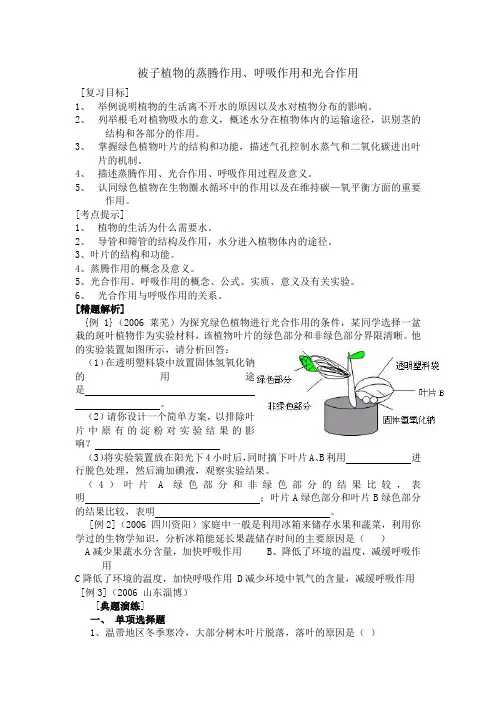 被子植物的三大作用