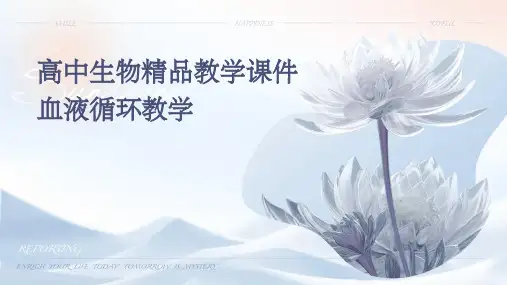高中生物教学课件：血液循环教学