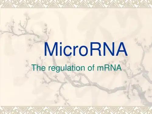 最新研究microRNA讲义PPT课件