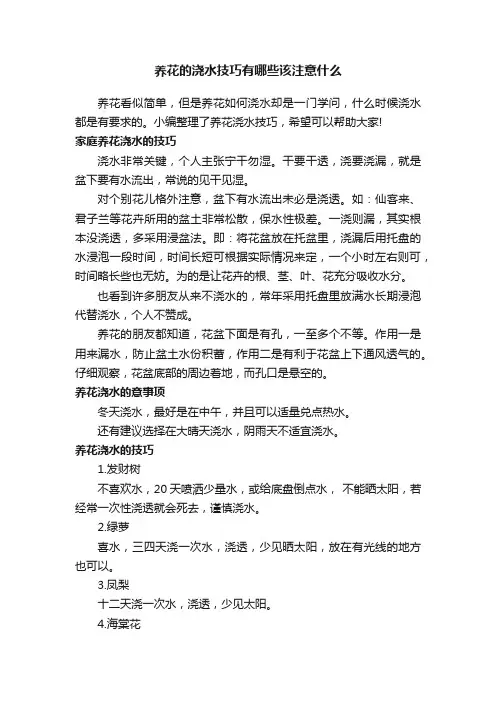 养花的浇水技巧有哪些该注意什么