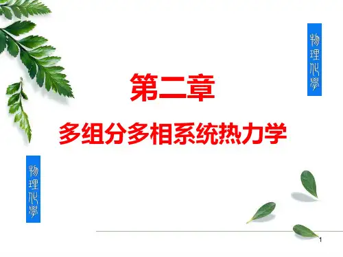 物理化学_第2章_多组分多相系统热力学