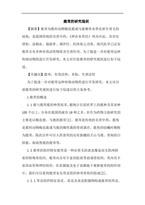 鹿茸的研究现状