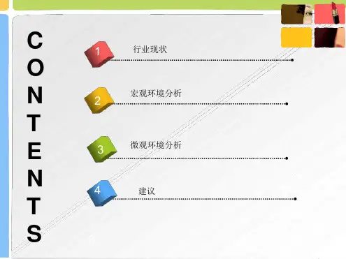 化妆品行业的宏观环境分析模板ppt课件