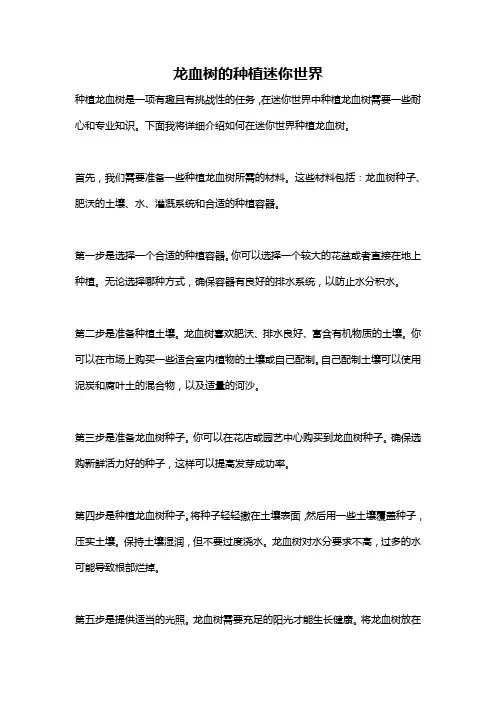 龙血树的种植迷你世界