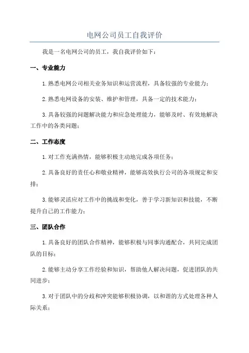 电网公司员工自我评价