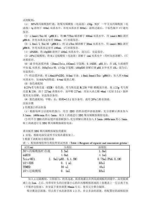 电泳条件及不同胶浓度配制