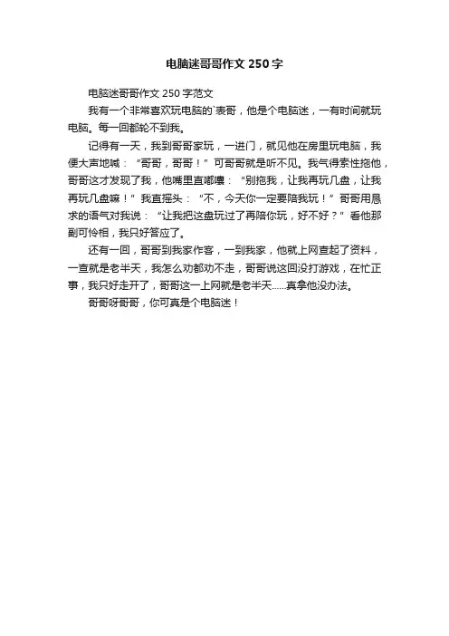 电脑迷哥哥作文250字