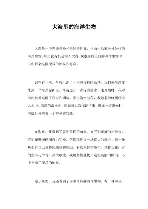 大海里的海洋生物