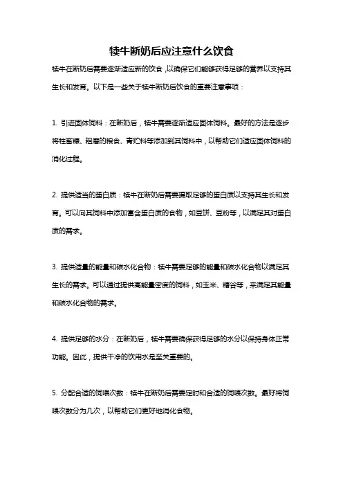 犊牛断奶后应注意什么饮食