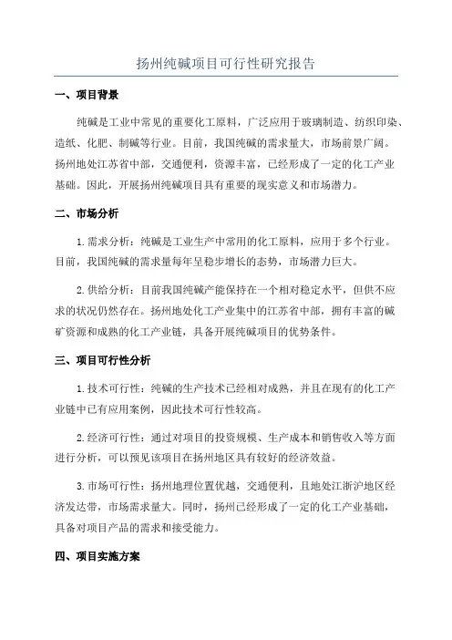 扬州纯碱项目可行性研究报告