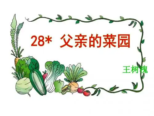 28父亲的菜园ppt课件
