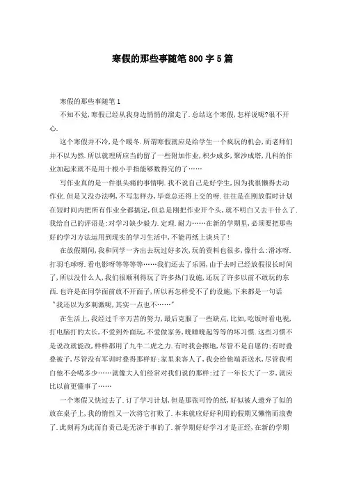 寒假的那些事随笔800字5篇