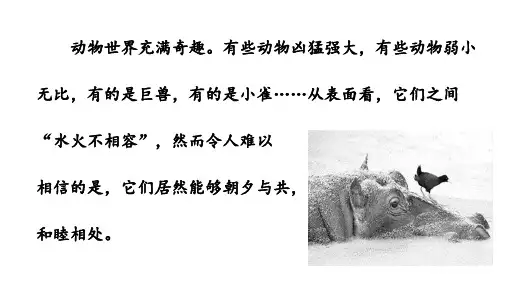 三年级语文阅读课件：有趣的生物共栖现象(完美版)