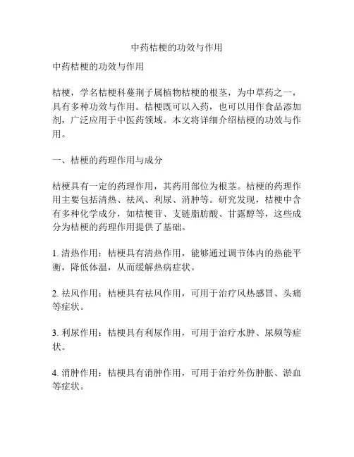 中药桔梗的功效与作用