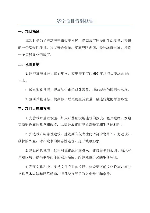 济宁项目策划报告