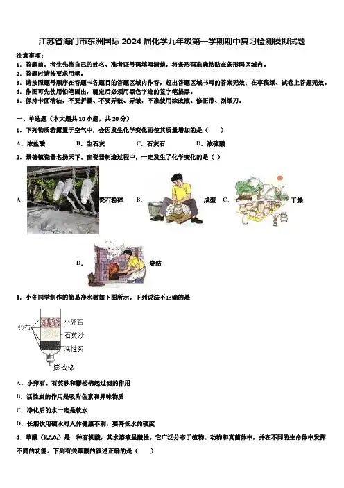 江苏省海门市东洲国际2024届化学九年级第一学期期中复习检测模拟试题含解析