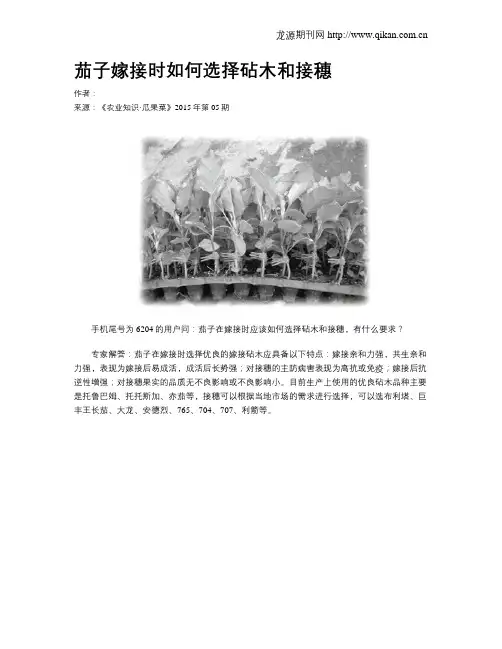 茄子嫁接时如何选择砧木和接穗