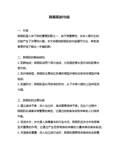 腓肠肌的功能