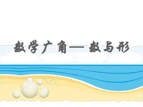 人教版数学六年级上册《数学广角——数与形》参考课件.ppt