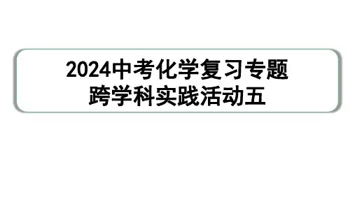 2024中考化学复习专题 跨学科实践活动五  (课件)