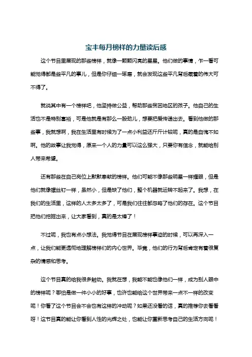 宝丰每月榜样的力量读后感