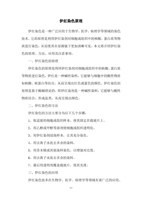 伊红染色原理