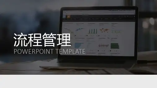 流程的管理-流程改善-过程改进PPT模板(共76页)