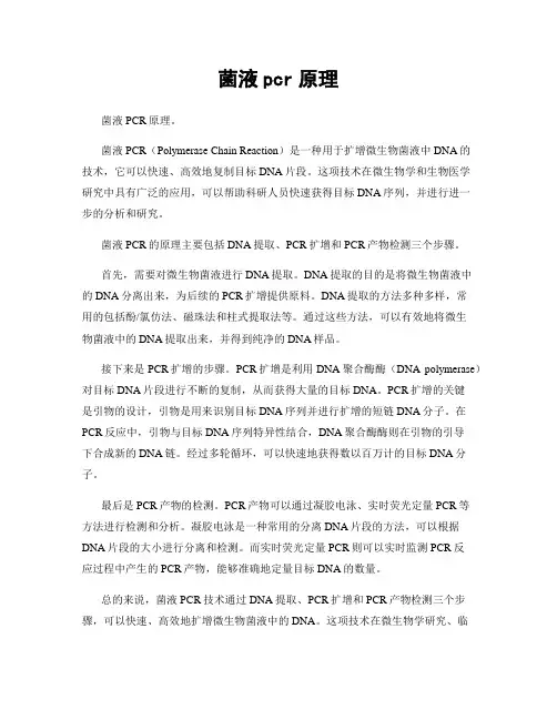 菌液pcr原理
