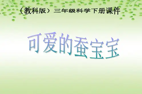 鄂教版小学科学三下《7.可爱的蚕宝宝》PPT课件(1)