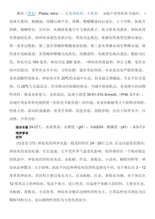 燕鱼