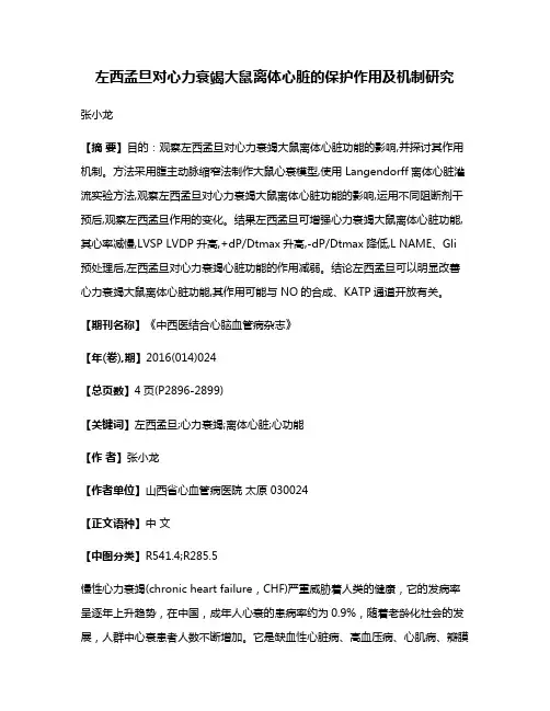 左西孟旦对心力衰竭大鼠离体心脏的保护作用及机制研究