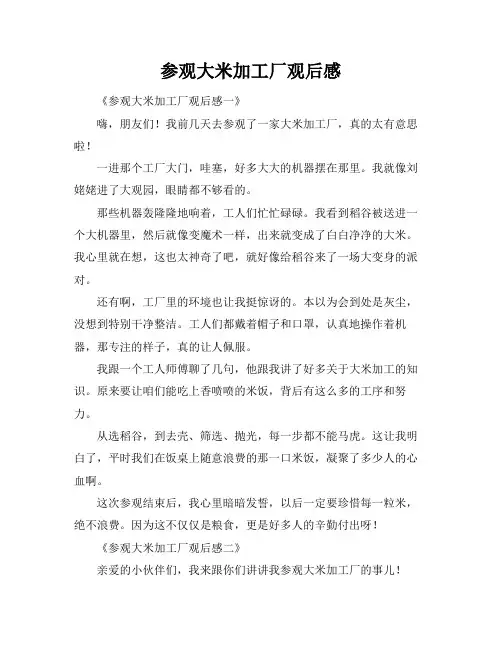 参观大米加工厂观后感