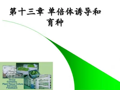 第十三_单倍体诱导与育种_细胞工程-114页PPT精选文档