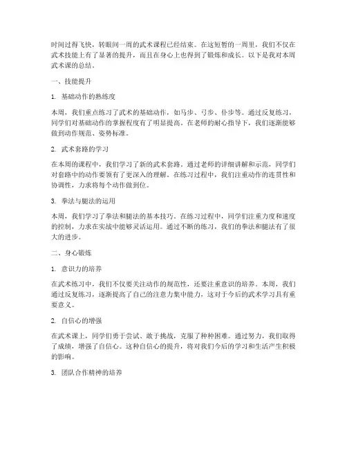武术课周总结范文