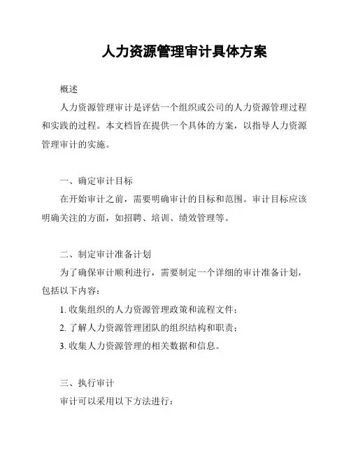 人力资源管理审计具体方案