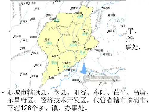 我的家乡——聊城PPT课件