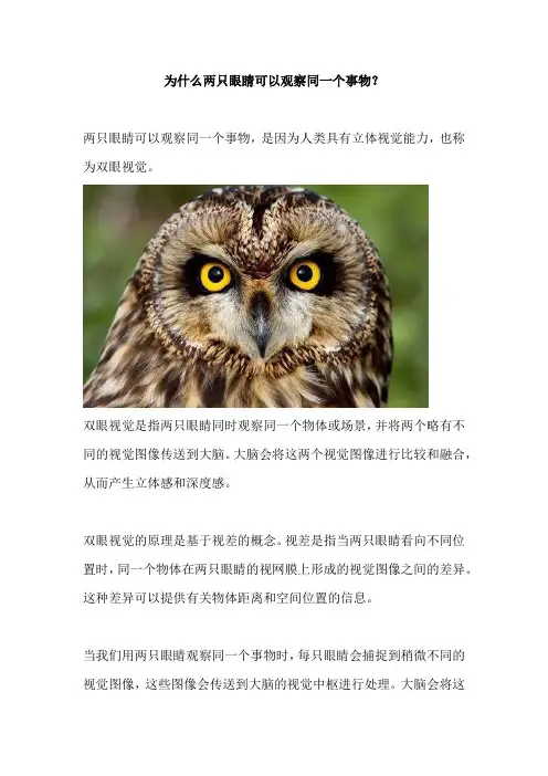 为什么两只眼睛可以观察同一个事物