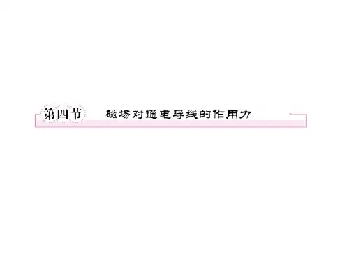安培力专业知识讲座