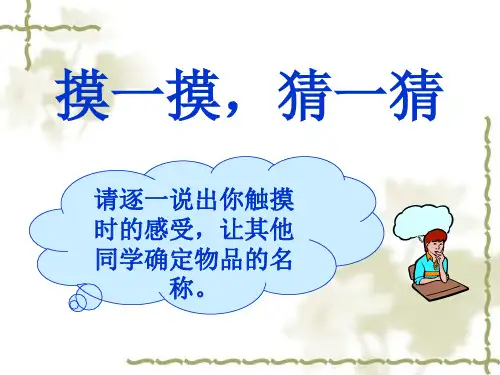 动物体对外界信息的获取 ppt课件