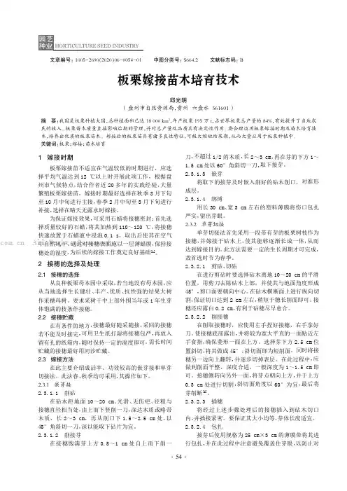 板栗嫁接苗木培育技术