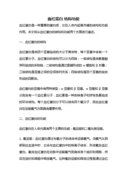 血红蛋白 结构功能