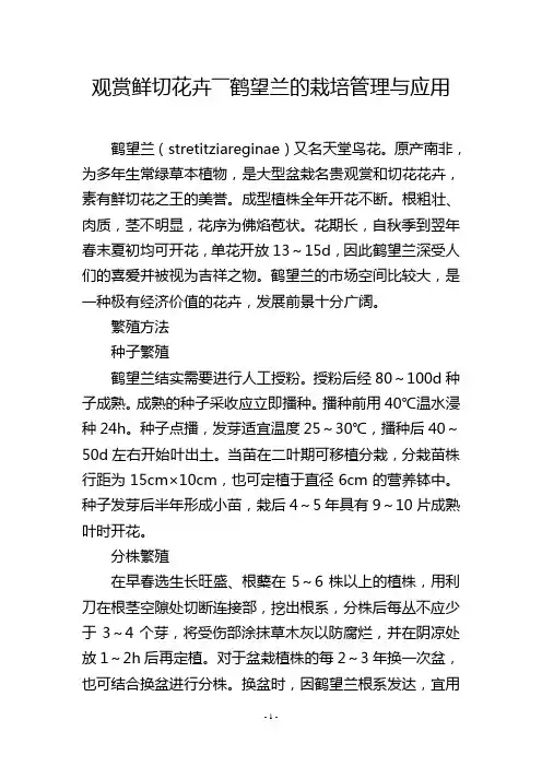 观赏鲜切花卉――鹤望兰的栽培管理与应用